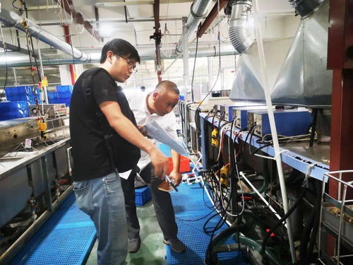 規范廠中廠服務小微園，樂清翁垟街道繃緊企業生產安全弦